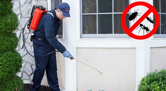 Belen Hamam Böceği İlaçlama böcek ilaçlama ve haşere kontrolü — ilaclama-tr.com